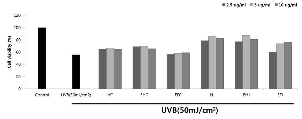 미세조류추출물의 자외선 B조사에 따른 세포손상 억제 효능