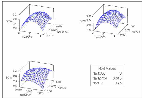 영양요인의 농도별 균체농도의 3차원 반응표면곡선