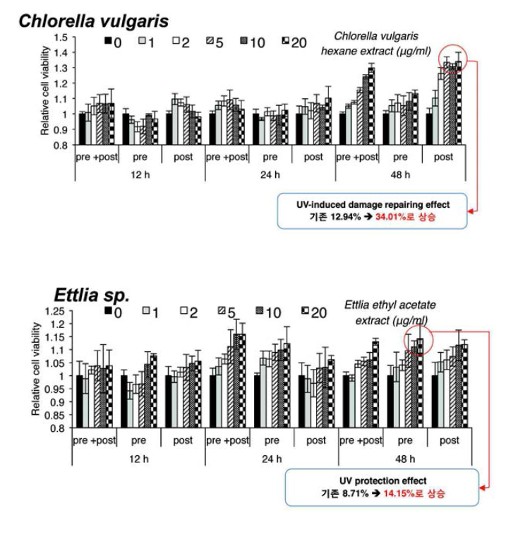Chlorella vulgaris와 Ettlia sp.의 DREAM system에서의 피부세포 손상억제 효과