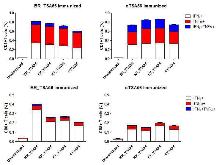 서로다른 혈청형 균주 유래 TSA56단백으로 자극시켜준 비장세포의 CD4+, CD8+T 세포에서 IFNγ+ , TNFα+생성 여부를 유세포분석기로 확인함
