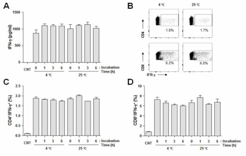 다양한 온도/시간 조건하의 ScaA단백항원의 분해여부를 확인함. (A)IFN-γ 생성유.무를 ELISA로 확인함, (B-D) T세포 반응성 여부를 ScaA를 면역한 비장세포를 이용하여 FACS로 확인함