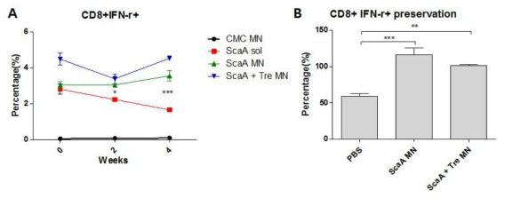 항원 보존방식에 따른 ScaA 항원단백의 분해여부 평가. (A-B) T세포 반응성 여부를 ScaA를 면역한 비장세포를 이용하여 FACS로 확인함. (A) 실온보관 0주, 2주, 4주 후 항원에 대한 T세포 반응성 추세선. (B) 보관 0주차와 4주차의 T 세포 반응 비교