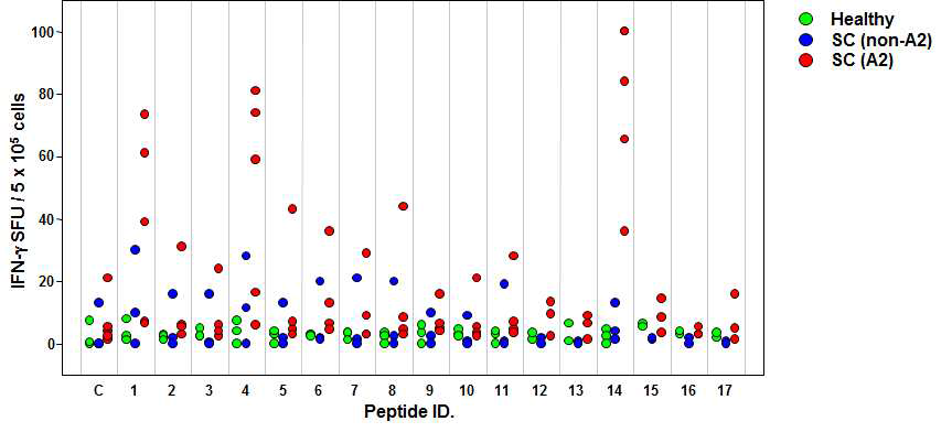 쯔쯔가무시병 환자의 PBMC (5X105 / well) 와 TSA56 후보 Epitope (최종농도.1mM)을 함께 배양한 후, 특이적 IFNγ을 생산하는 세포수를 ELISPOT으로 확인함