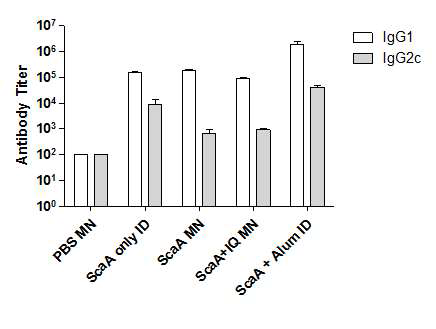 PBS, ScaA단백, ScaA단백+Immiquimod를 탑재한 마이크로니들 패치 실험군과 ScaA단백+Alum 대조군을 마우스에 면역 7일후, 형성된 ScaA-특이적 IgG1, IgG2c 항체 역가