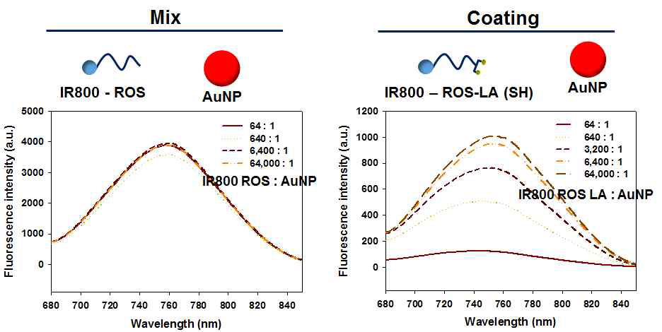 금 나노입자에 형광 분자 도입으로 인한 형광 감소 효과. (좌) 혼합용액 상태 (우) 금-황 결합을 통해 IR800 형광 분자가 금나노입자에 도입된 상태