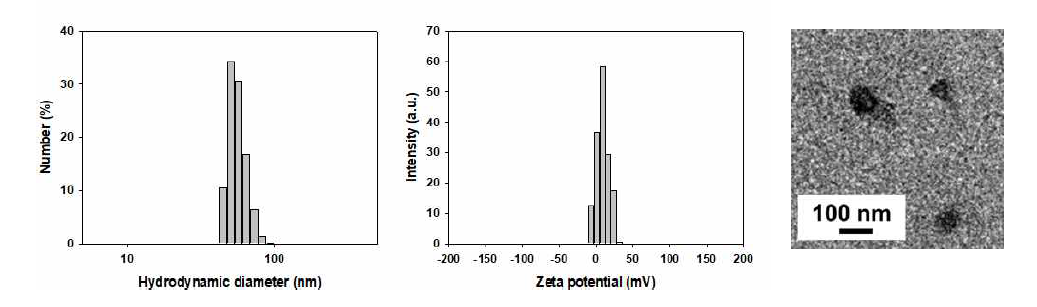 (좌) 수분산된 w HPsiRNA의 hydrodynamic diameter (중) zeta potential (우) TEM image