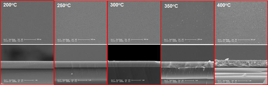 열처리 온도에 따른 SnO 박막의 SEM 표면 및 단면사진
