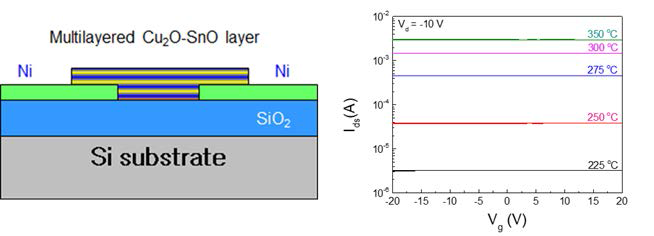 이종 구조의 다층 Cu2O-SnO TFT 구조 및 전송특성