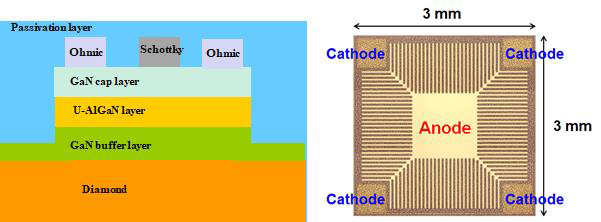 (좌) GaN-Diamond SBD 소자의 단면도 및 (우) 3mm x 3mm 소자의 top view