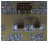 CBCPW 전송선로를 사용한 LNA 모듈 사진