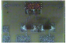 마이크로스트립 전송선로를 사용한 LNA 모듈 사진