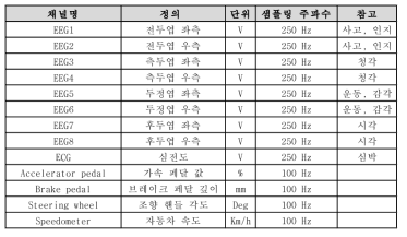 운전자 정서 분석용 DVI 채널