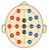 EEG 레코딩 시 사용한 전극 위치