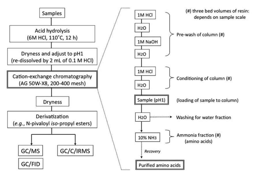 Cation exchange chromatography를 이용한 퇴적물 시료 정제 과정 (Takanoet al., 2010)