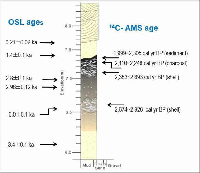 다사리 폭풍퇴적층의 퇴적상과 OSL과 14C-AMS 연대측정결과