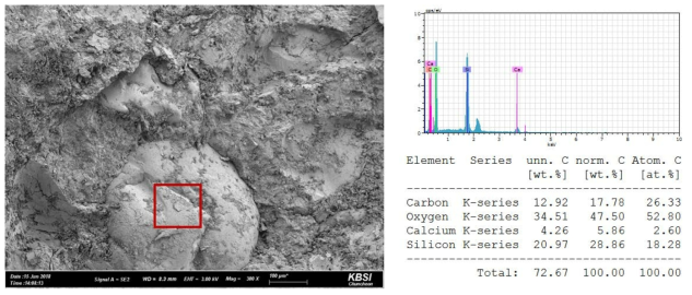 SEM/EDS 결과(1)