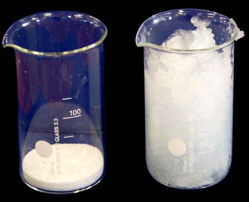SAP의 물 흡수 전후 비교 (좌측 : 건조상태, 우측 : 물 흡수 후) (Monnig, 2005)
