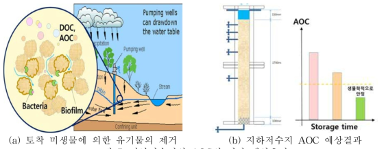 지하저수지의 AOC의 저감 예상효과