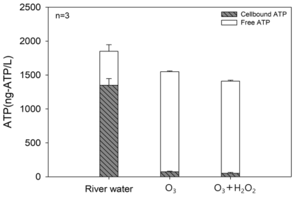 전처리 기법에 따른 cellbound ATP 감소