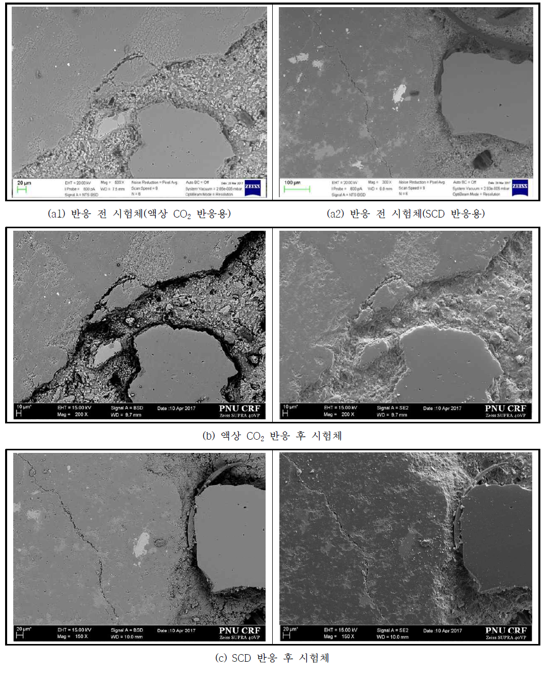 반응에 따른 큐브형 폐콘크리트 시험체의 SEM 이미지