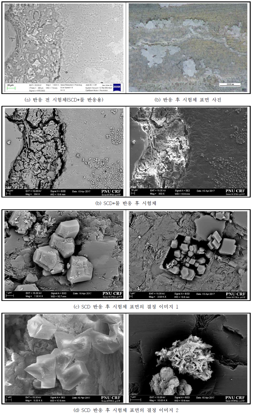 SCD 반응에 따른 큐브형 폐콘크리트 시험체의 SEM 이미지 및 표면 사진