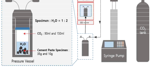 시멘트 페이스트 시험체의 SCD 반응(침지반응) 모식도