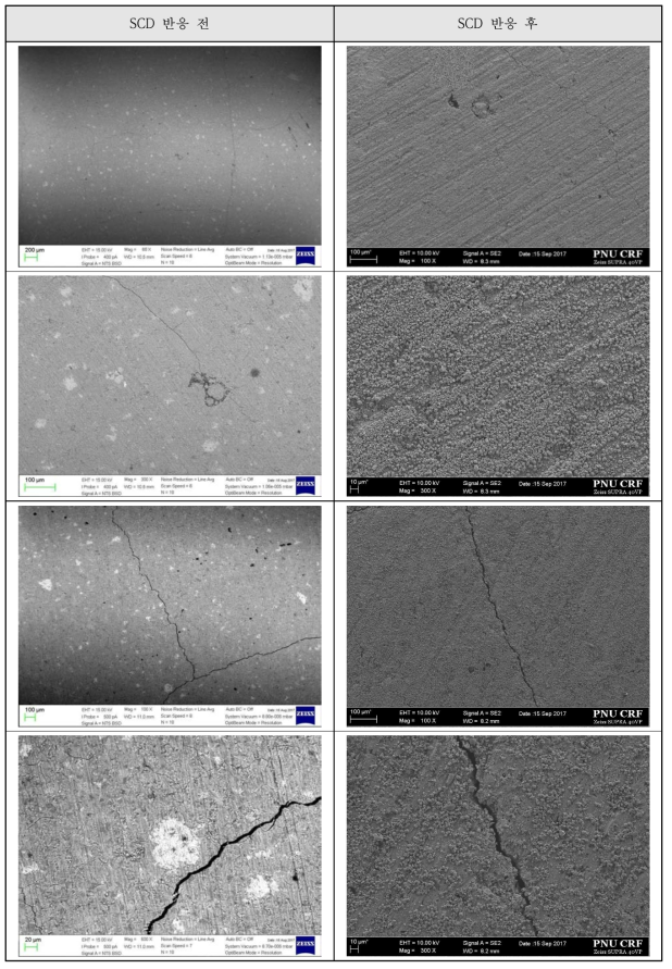 50℃-100bar 반응조건에서 10mm 시멘트 페이스트 시험체의 미세구조 변화