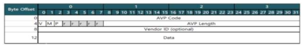 AVP 포맷