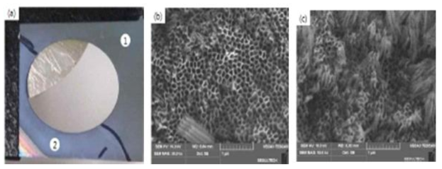 (a) Annealing 후 TiO2 nanotube plate의 색 변화, (b) (a)-①부분의 표면, (c) (a)-②부분의 표면