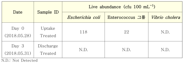지표미생물(Escherichia coli, Enterococcus 그룹, Vibrio cholera)에 대한 시험 결과