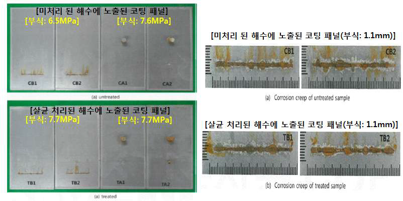 코팅 패널 부식시험 결과 사진(미처리 해수(상), 살균처리 된 해수(하))