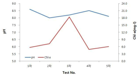 생물 시험이 이루어진 시기의 pH 및 Chl-a 변화