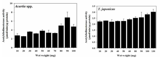 시료량에 따른 Acartia spp.와 T. japonicus의 AChE 활성도