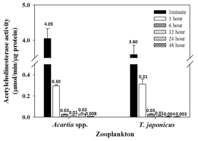 Acartia spp.와 T. japonicus의 고정 시간에 따른 AChE 활성도 비교