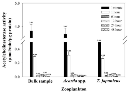 자연시료(bulk sample), Acartia spp. 그리고 T. japonicus의 사멸 시간에 따른 AChE 활성도 비교