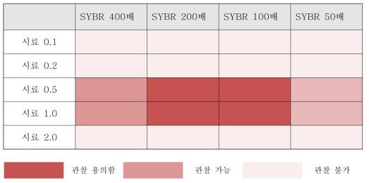 SYBR Green I 염색 시 시료 및 염색시약의 농도에 따른 관찰 용이성을 나타내는 표