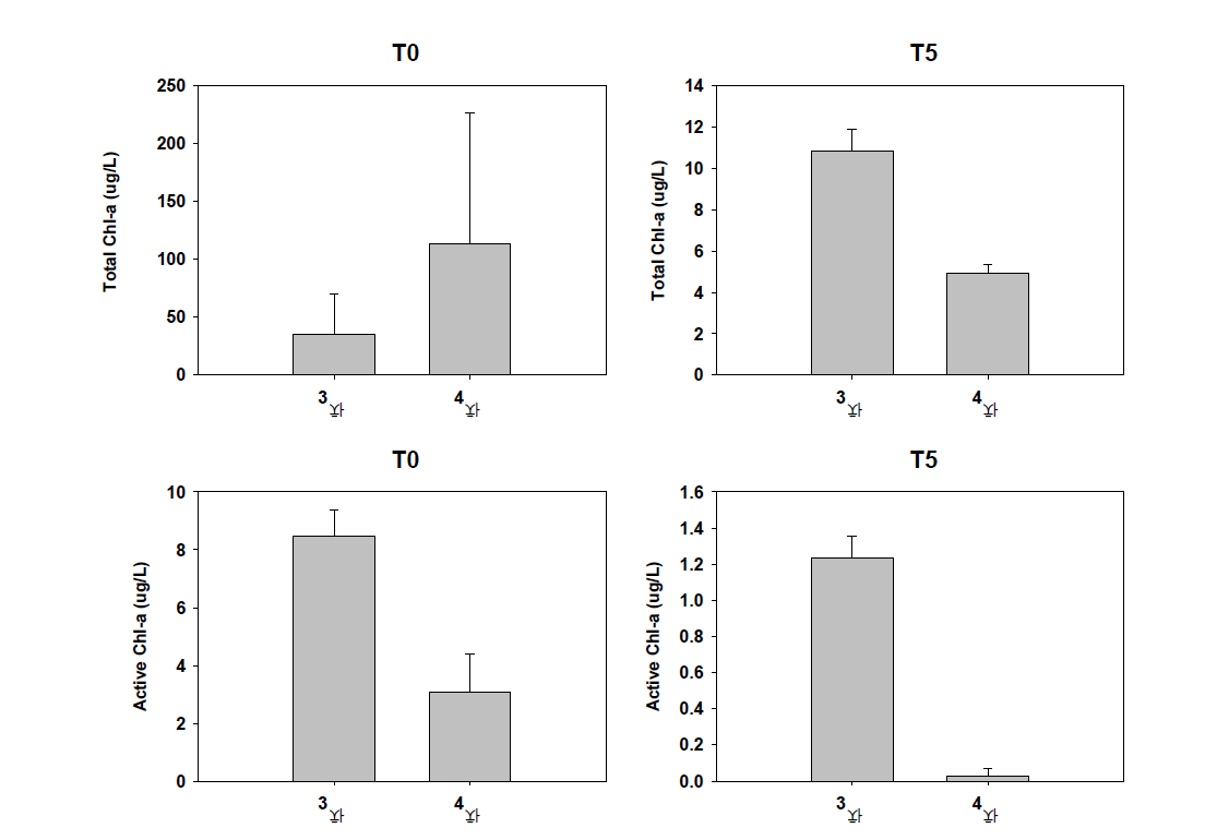 담수 시험 3차, 4차의 농축된 처리수 샘플(T0, T5)을 이용한 엽록소-a(total chl-a) 및 활성엽록소-a(active chl-a)의 측정값