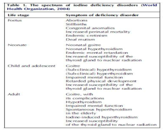 요오드결핍증(Iodine deficiency disorders)의 나이별 증상(WHO, 2004)