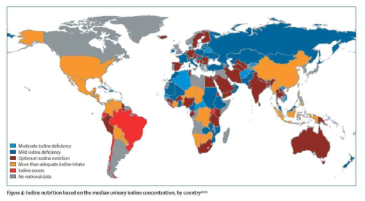 세계적인 요오드 결핍 현상의 현황 (Michael B Zimmermann et al., 2008)