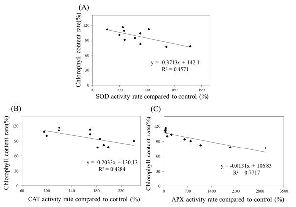 유묘이용 고온에 따른 식물체 엽록소 함량변화와 항산화효소 활력과 상관관계분석 (A) Superoxide dismutase activity. (B) Catalase activity (C) Ascorbic peroxidase activity