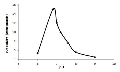 pH 조건에 따른 LOX 활성 변화