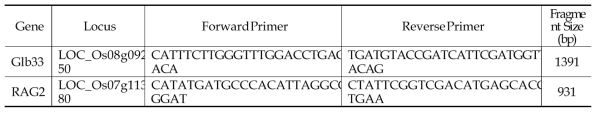 벼 저장단백질 알러지 유전자 관련 프라이머 선발(1차) : 2개