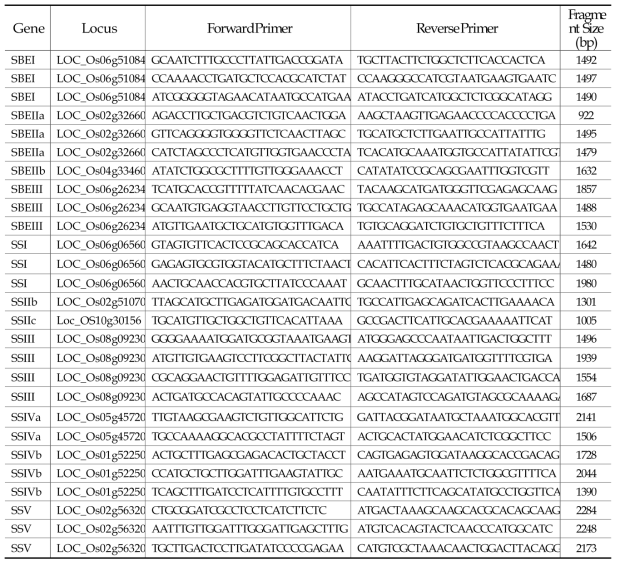 벼 전분 합성 유전자 관련 프라이머 선발(2차) : 27개