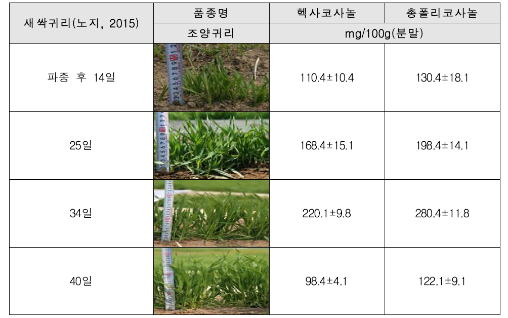 새싹귀리의 생육시기별 폴리코사놀 함량 분석 결과
