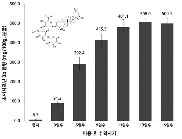 새싹땅콩 수확시기별 소야사포닌 Bb의 변화 및 함량 분석결과