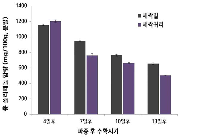 새싹귀리, 새싹밀의 수확시기별 총폴리페놀 변화 및 함량 분석결과