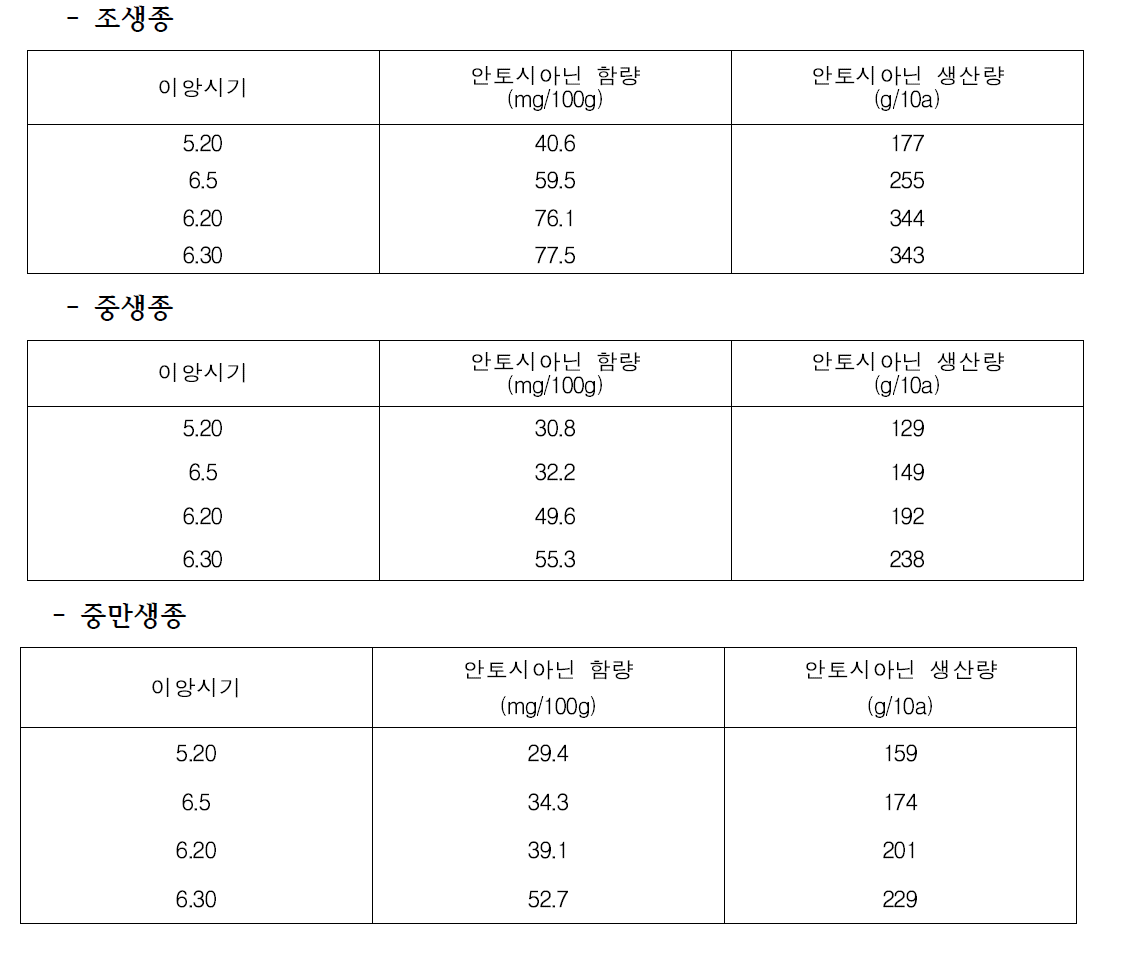 흑미 생태형별 이앙시기에 따른 안토시아닌 함량 및 생산량