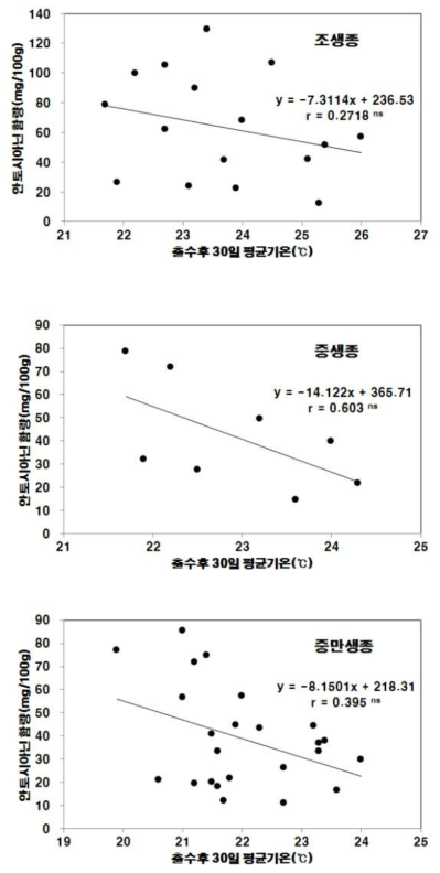 흑미 생태형별 등숙기 평균기온과 안토시아닌 함량과의 관계