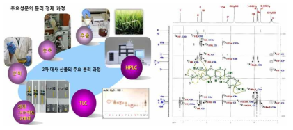 유용물질 분리, 정제, 화학구조 동정 과정 및 관련 분광기기