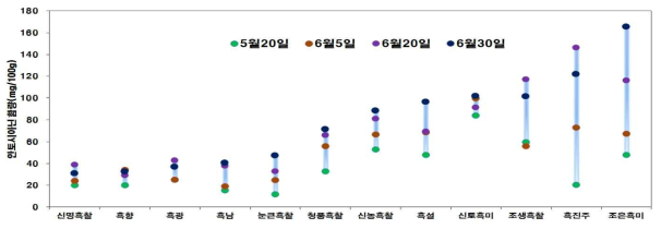 흑미 품종별 이앙시기에 따른 안토시아닌 함량변화